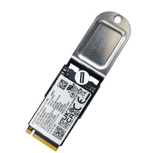 유니온메모리 AM630 M.2 2242 NVMe 256GB SSD Gen4
