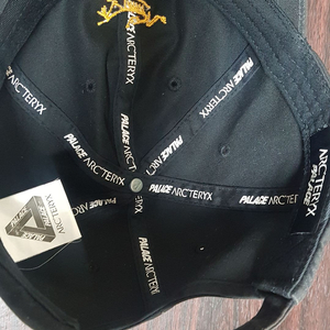 아크테릭스x 팔라스 캡 이미지