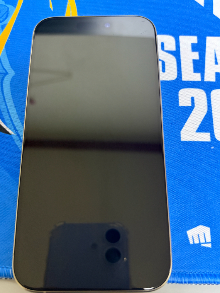 아이폰 15pro 256기가 내츄럴티타늄--10