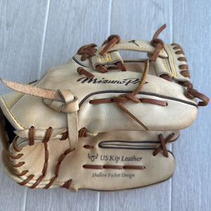 미즈노 프로 글러브