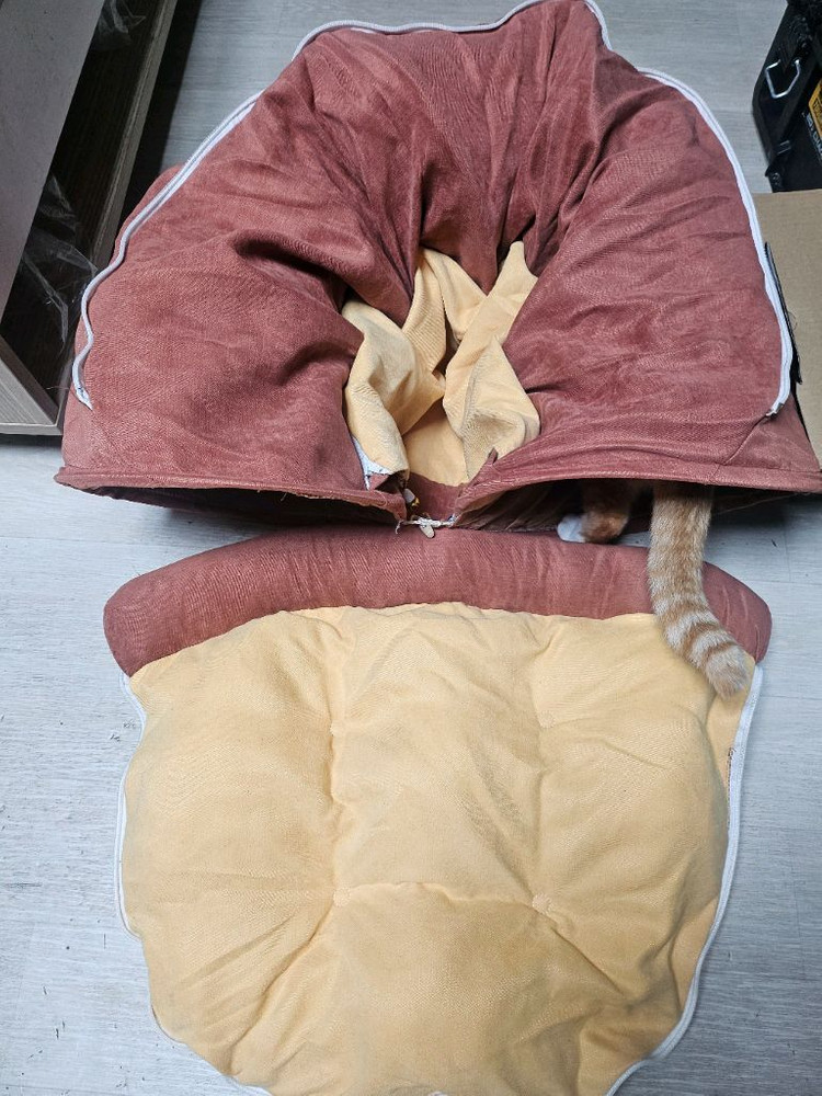 고양이 터널 침대 + 푹신 쿠션--1