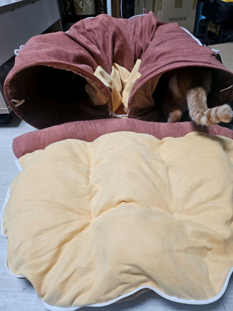 고양이 터널 침대 + 푹신 쿠션--2