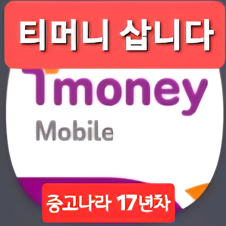 티머니페이머니 페이코포인트 삽니다. 중고나라 1위--0