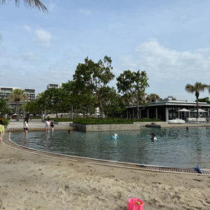 메이플 월드코인 이미지