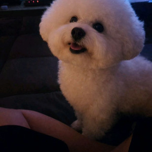 베이더4프로 삽니다