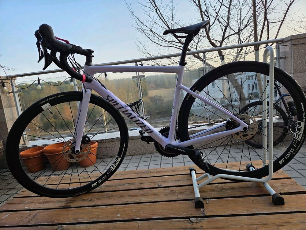 스페셜라이즈드 타막 SL6 스포츠 디스크 2019 카본로드자전거--1