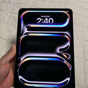 아이패드 프로 M4 11인치 256 WIFI