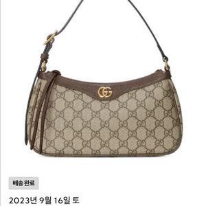 구찌 오디피아 스몰 핸디백 이미지