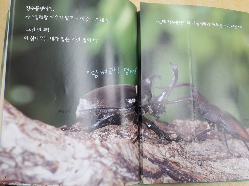 교원 ALL STORY 자연이 소곤소곤 (개정판) 이미지