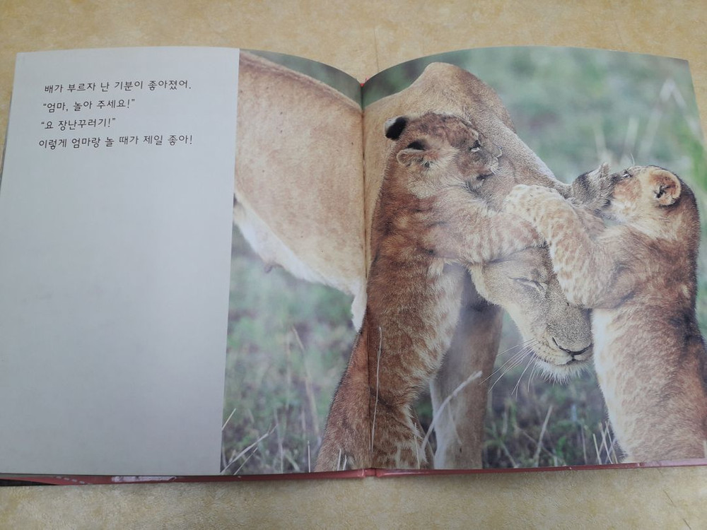 교원 ALL STORY 자연이 소곤소곤 (개정판) 이미지