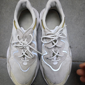 아디다스 운동화 265