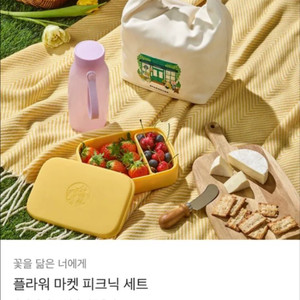 스타벅스 피크닉세트 도시락세트 미사용