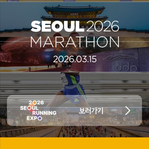 동마클럽 서울마라톤 여자 10K 싱글렛xs 양도합니다 이미지