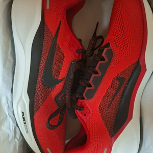 나이키 에어 줌 페가수스 41 유니버시티 레드 라이트 크림슨 265