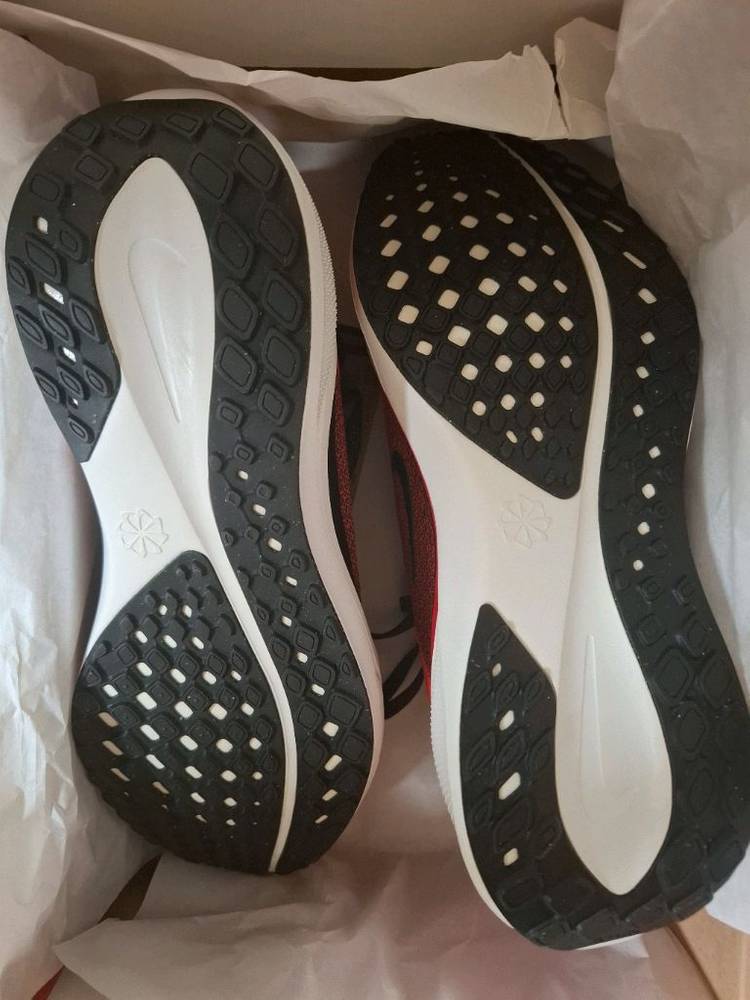 나이키 에어 줌 페가수스 41 유니버시티 레드 라이트 크림슨 265--3