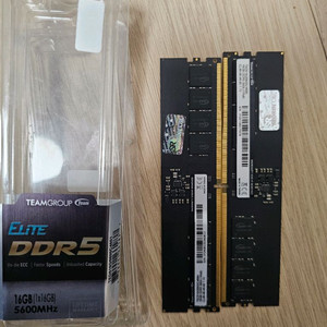 팀그룹 ddr5 5600 32gb(16x2)
