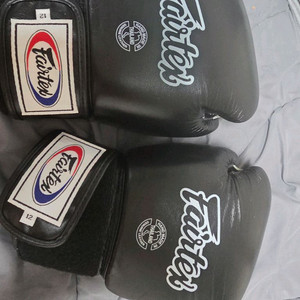 페어텍스 bgv1 12온스 글러브 이미지