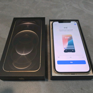 애플 아이폰 12 프로 골드 256기가 풀박스