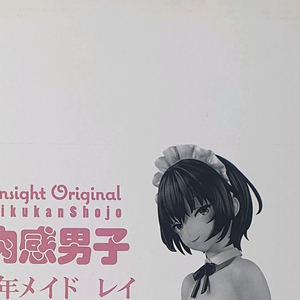 인사이트 Insight 육감남자 - 레이 1/6 스케일 피규어