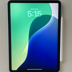 아이패드 프로 4세대 M2 11인치 256g, 펜슬포함