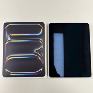 아이패드 프로 13 m5 256gb wifi 실버