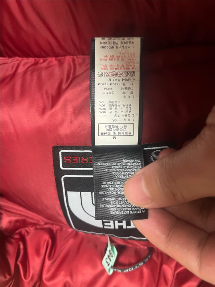 노스페이스 850SE 퀀텀 눕시 패딩 m/m--1