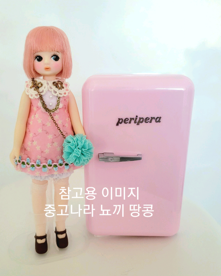 페리페라 페리의 미니 냉장고 육일돌 가구 미니어처 이미지