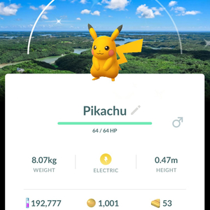 포켓몬고 미에현 배경 이로치 피카츄 이미지