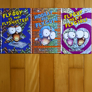 Fly Guy 영어 원서 3권 세트 일괄 (하드커버)