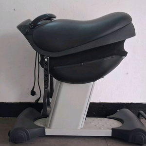 실내 승마 운동기구 블랙 이미지
