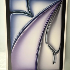 아이패드 에어 11 M3 128 셀룰러 스페이스 그레이