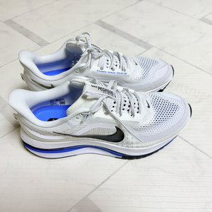 나이키 페가수스 프리미엄 런닝화 290mm 판매합니다. (hq2592-104)