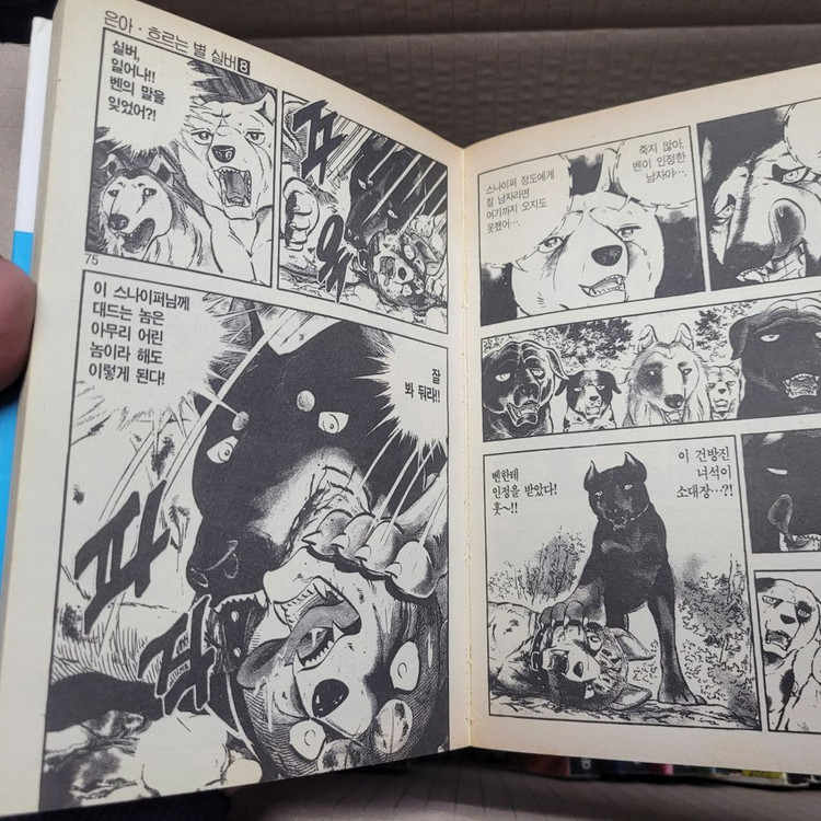 은아 흐르는 별 실버 전권 (1~18권) 판매합니다.--1