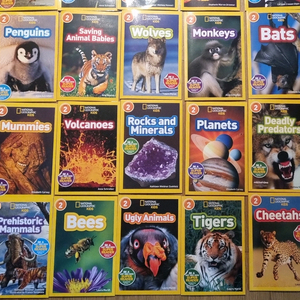 내셔널지오그래픽 키즈 29권