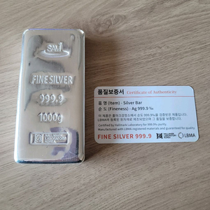 실버바750 훠나인