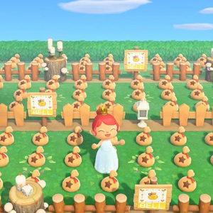 모동숲 벨, 마일티켓, 재료 동숲 동물의숲