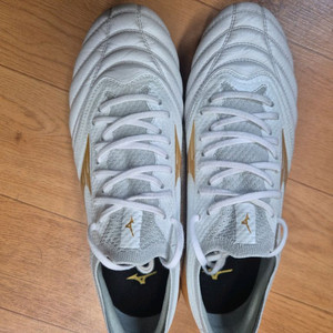 모렐리아 네오4 베타 엘리트 md 250팝니다