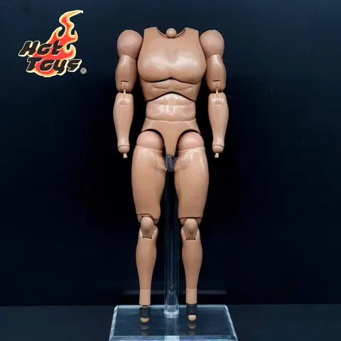 핫토이 캡틴아메리카 스티브로저스 근육바디 12인치 피규어--2