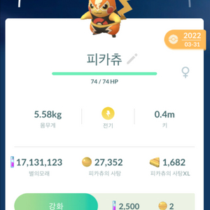 포켓몬고 마스크드 피카츄 판매 이미지