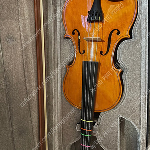 안드레아 질러 바이올린 팝니다 (루마니아산,2004년)