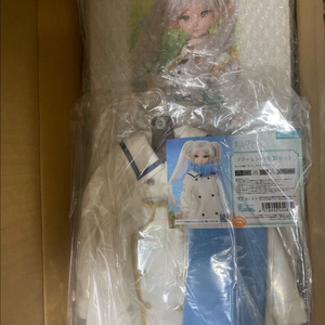 dds 돌피드림 프리렌 2.0 동계의상 포함 이미지