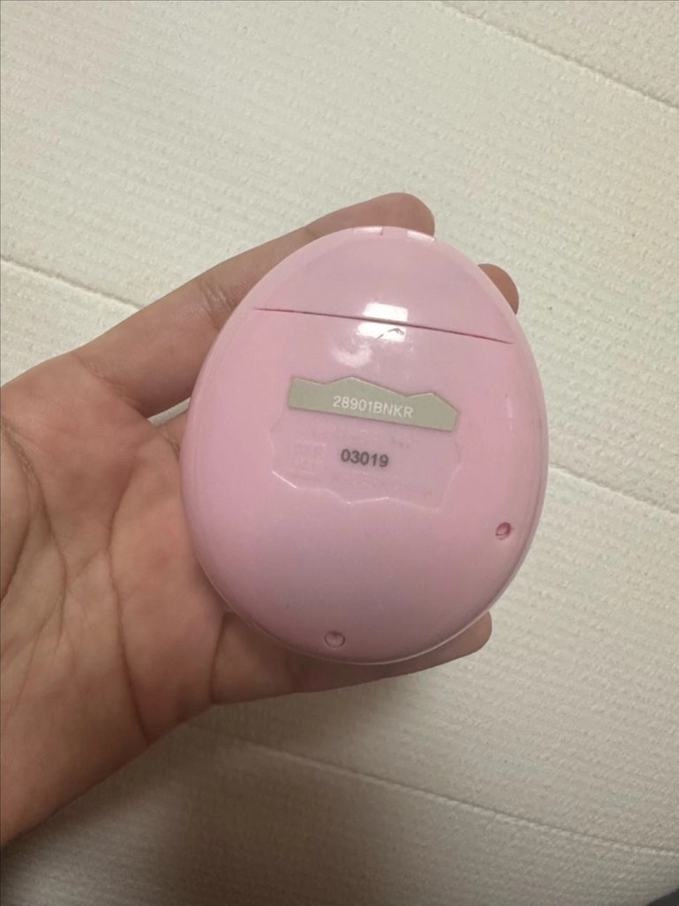 다마고치썸 핑크 이미지