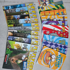 Fly Guy 영어 원서 10권(cd2장포함)+ presents 12권