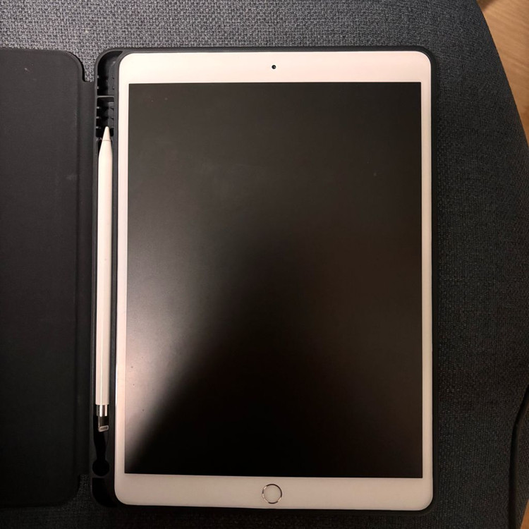 아이패드 프로 10.5 셀룰러 64 + 애플펜슬--2