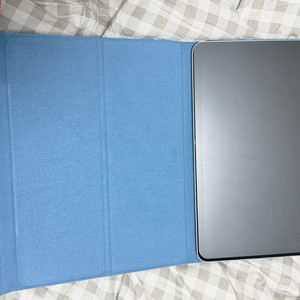 [Apple] 아이패드 에어 11 M3 Wi-Fi+Cellular