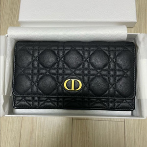 디올 카로 체인 파우치 WOC 팝니다.