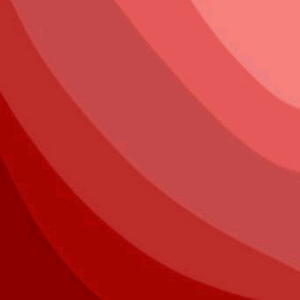 김해 신나는어린이집 재롱잔치 CD아직도 들고계신분.