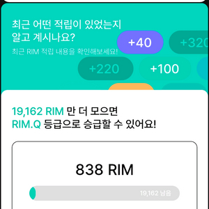 아난티 림 rim 800