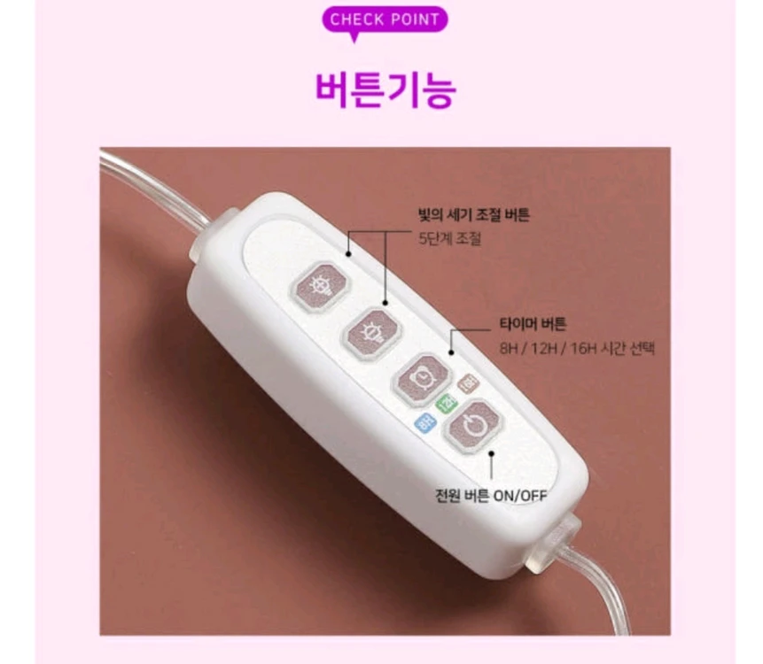 식물등 엔젤등 이미지