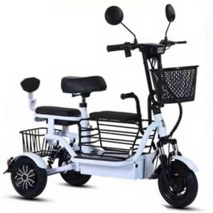 전동 3륜 전기자전거